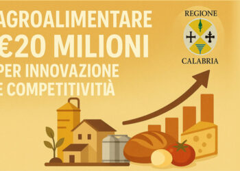 Regione Calabria, 20 milioni per innovare e rendere competitive le imprese agroalimentari