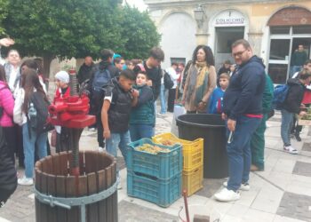 Cirò, festa della vendemmia tra scuola, tradizione e cultura: nonostante la pioggia, grande partecipazione e visita dei buyers internazionali di Mirabilia