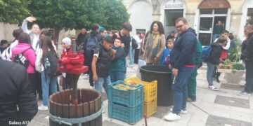 Cirò, festa della vendemmia tra scuola, tradizione e cultura: nonostante la pioggia, grande partecipazione e visita dei buyers internazionali di Mirabilia