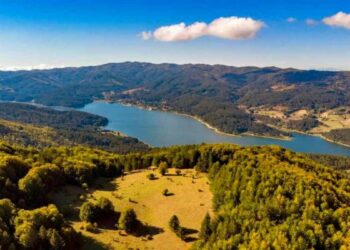 Tutela ambiente: 3 mln di euro alle associazioni ambientaliste