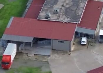 Macellazione clandestina di cavalli: un arresto e cinque denunce nel Crotonese