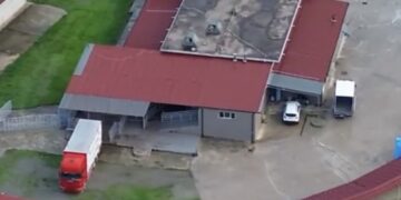 Macellazione clandestina di cavalli: un arresto e cinque denunce nel Crotonese