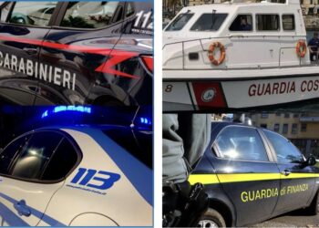 Crotone, operazione interforze “Focus ’Ndrangheta”: tre denunce e sequestri tra Cirò e Cirò Marina