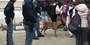 Crotone, scuole presidiate dalle forze dell’ordine: prevenzione reale o segnale di un fallimento educativo?