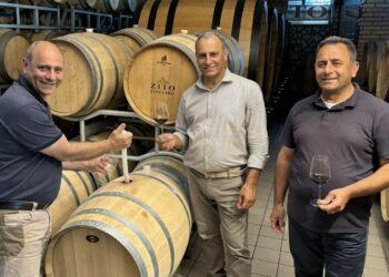 Alceo 2017: il Cirò Doc che unisce forza, coraggio e tradizione nella storia vinicola dei fratelli Zito