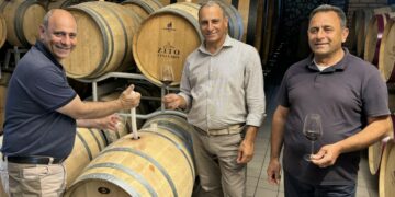 Alceo 2017: il Cirò Doc che unisce forza, coraggio e tradizione nella storia vinicola dei fratelli Zito