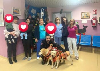 Proseguono le giornate di Pet Therapy all’Ospedale di Lamezia Terme: professionalità, cuore e competenze operative al servizio delle persone