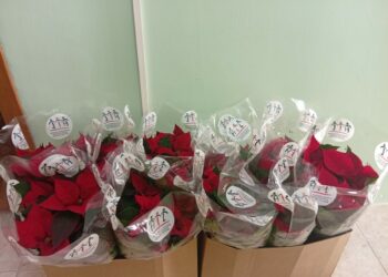 Le Stelle di Natale che portano speranza: Universo Minori dona solidarietà e rinascita alla Casa Circondariale di Crotone