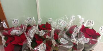 Le Stelle di Natale che portano speranza: Universo Minori dona solidarietà e rinascita alla Casa Circondariale di Crotone