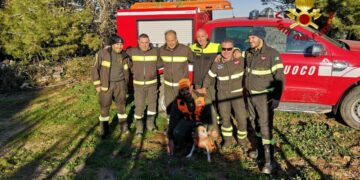 I vigili del fuoco salvano un cane da caccia bloccato tra San Nicola dell’Alto e Casabona