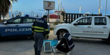 Crotone: Operazione interforze “Focus ‘Ndrangheta, sequestrati 70 kg di prodotti ittici ed elevate sanzioni per 11.000 euro