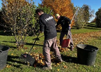 Cirò Marina, pulizia e taglio erba: interventi da lunedì 12 a sabato 17 gennaio con divieto di sosta