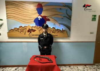 Petilia Policastro: tentato omicidio, Carabinieri fermano un uomo
