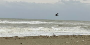 Allerta meteo arancione mercoledì 21 gennaio: scuole chiuse a Crotone, Cirò, Cirò Marina, Melissa, Crucoli, Strongoli, Cutro e altri comuni della fascia ionica