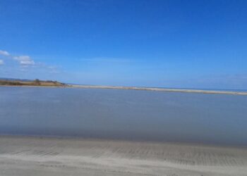 Foce del Neto, un patrimonio di biodiversità: il Circolo Ibis chiede tutela rafforzata