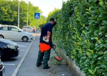 Cirò Marina, pulizia e taglio dell’erba: il programma degli interventi dal 5 al 10 gennaio 2026 con divieto di sosta