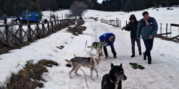 “Dog on the Snow”, due giornate indimenticabili tra neve, natura ed emozioni in Sila. Ultima tappa del progetto High Wellness South Italy