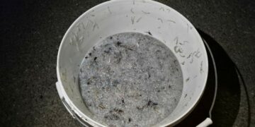 Guardia Costiera di Crotone: sequestrati 63 kg di prodotto ittico tra Strongoli e Crucoli, sanzioni per 3.500 euro