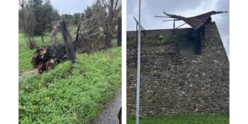 Mini tornado nella notte a Cirò Marina: tetto scoperchiato alla Torrenova e albero sradicato
