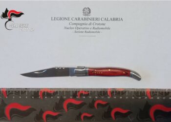 16 coltelli sequestrati dai Carabinieri durante i controlli su strada a Crotone: denunciati i responsabili