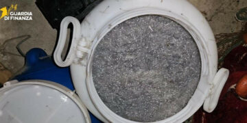 Strongoli Marina, sequestrati 22 kg di novellame: intervento della Guardia di Finanza di Crotone