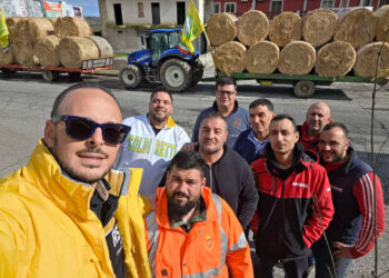 Maltempo, il cuore solidale di Coldiretti: consegnati i primi carichi di fieno e foraggi alle aziende colpite dall’alluvione