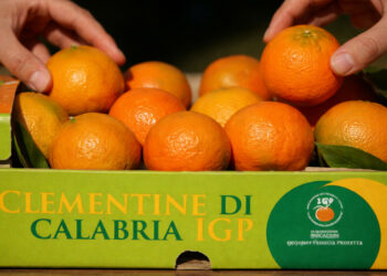 Agrumi esteri e residui vietati: il Consorzio Clementine di Calabria IGP sostiene l’allarme lanciato dal Consorzio dell’Arancia Rossa di Sicilia IGP