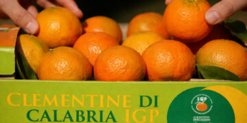 Agrumi esteri e residui vietati: il Consorzio Clementine di Calabria IGP sostiene l’allarme lanciato dal Consorzio dell’Arancia Rossa di Sicilia IGP
