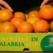 Agrumi esteri e residui vietati: il Consorzio Clementine di Calabria IGP sostiene l’allarme lanciato dal Consorzio dell’Arancia Rossa di Sicilia IGP