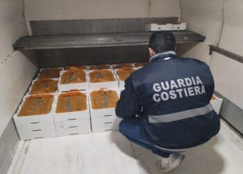 Pesca illegale di bianchetto, maxi operazione della Guardia Costiera: sequestrati 3 quintali di prodotto ittico nel Cosentino