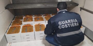 Pesca illegale di bianchetto, maxi operazione della Guardia Costiera: sequestrati 3 quintali di prodotto ittico nel Cosentino