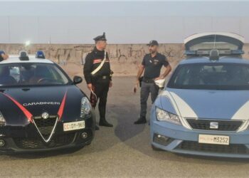 Isola di Capo Rizzuto, operazione interforze “Focus ’Ndrangheta”: sanzioni per 4mila euro e una denuncia