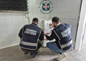 Sequestrati 100 kg di novellame di sarda sulla SS106: sanzione da 5.500 euro