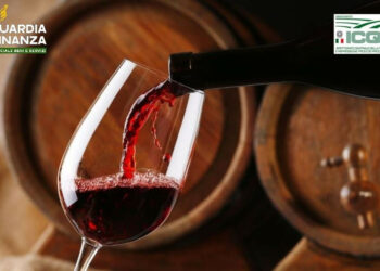 Frodi nel vino, operazione “Vinum Mentitum”: sequestrati dalla Finanza 2,5 milioni di litri falsi DOP e IGP