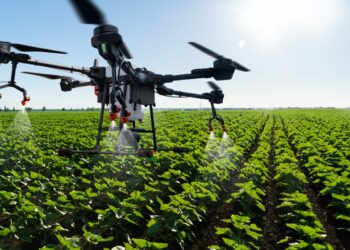 L’agricoltura del Crotonese guarda al futuro: droni, sensori e innovazione protagonisti dell’evento GAL Kroton