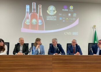 Cirò capitale mondiale dei rosati: dal 27 al 29 marzo il Concours Mondial de Bruxelles