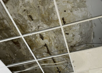 Santa Severina, studenti del Liceo Classico D. Borrelli denunciano il degrado: “Scuola tra infiltrazioni e disagi”