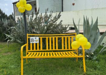 Carfizzi, una panchina gialla dedicata alle donne del mondo: l’iniziativa della cooperativa AGAPE