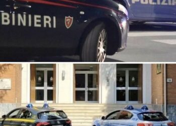 Crotone, maxi controlli “Focus ‘Ndrangheta”: una denuncia, sequestri e sanzioni per oltre 7mila euro