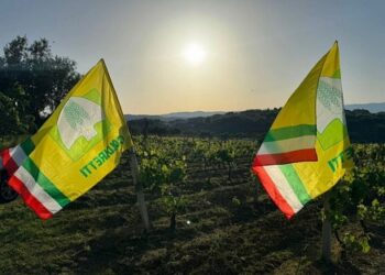 Agricoltura calabrese in crisi: costi alle stelle fino a 200 euro a ettaro, Coldiretti chiede intervento urgente dell’UE